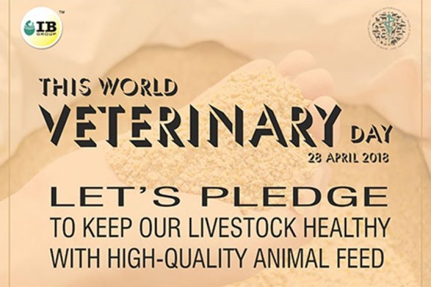 10 PRODUCTIVE WAYS TO CELEBRATE THE WORLD VETERINARY DAY 2018