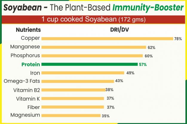 Soyabean- The Plant-Based Immunity-Booster